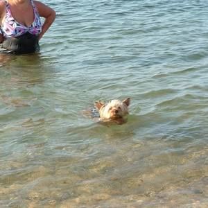 Meet your Posher, Olga